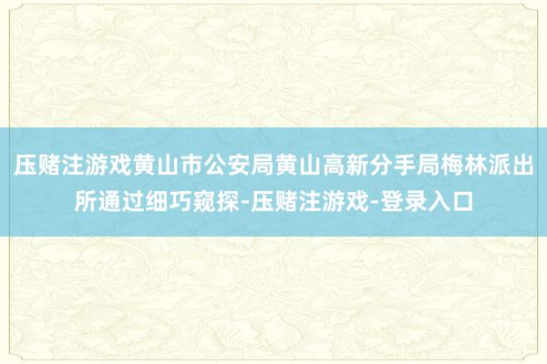 压赌注游戏黄山市公安局黄山高新分手局梅林派出所通过细巧窥探-压赌注游戏-登录入口