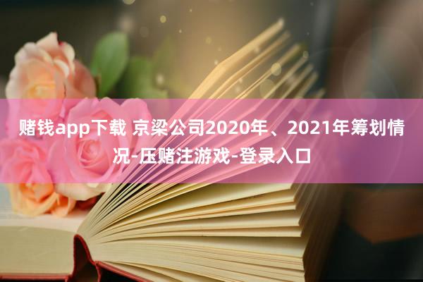 赌钱app下载 京梁公司2020年、2021年筹划情况-压赌注游戏-登录入口