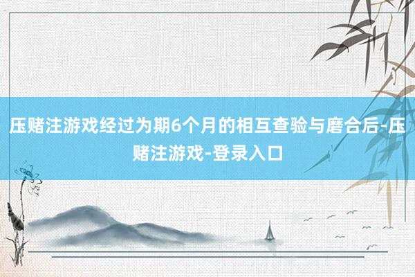 压赌注游戏经过为期6个月的相互查验与磨合后-压赌注游戏-登录入口