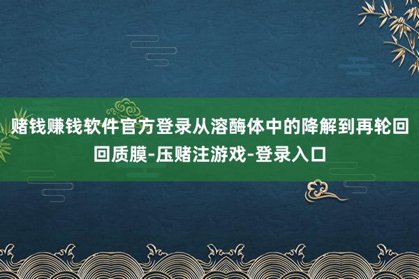 赌钱赚钱软件官方登录从溶酶体中的降解到再轮回回质膜-压赌注游戏-登录入口