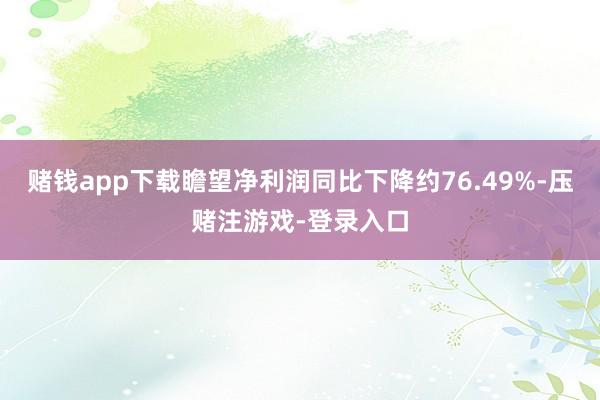 赌钱app下载瞻望净利润同比下降约76.49%-压赌注游戏-登录入口